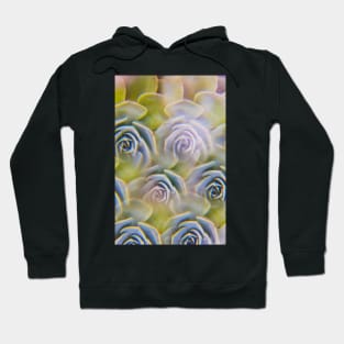 Succulent photographed through prism filter Hoodie